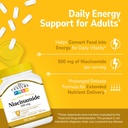 21st-century-niacinamide-500mg-prolonged-81fGfEC1F+L.jpg