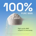 cata-kor-nmn-supplement-powder-1000-mg-p-61BB-cmQmfL.jpg