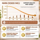 nmn-supplement-1000mg-nad-support-cellul-71GzqtlPeML.jpg