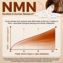 nmn-supplement-1000mg-nad-support-cellul-710fA3D87UL.jpg