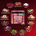 clean-nutra-berberine-and-ceylon-cinnamo-81aUpe17LQL.jpg