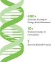 illuminate-labs-ginkgo-biloba-extract-ca-5.jpg