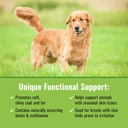 mushroom-matrix-canine-organic-mushroom--3.jpg