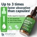 stinging-nettle-root-extract-drops-2000m-5.jpg