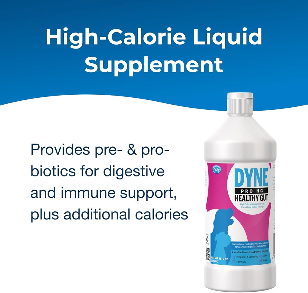 petag-dyne-pro-hg-healthy-gut-for-dogs-p-2.jpg