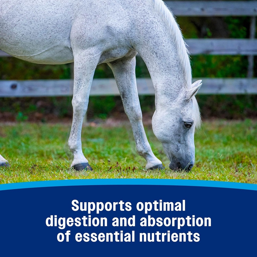 farnam-probiotic-powder-for-horses-daily-5.jpg