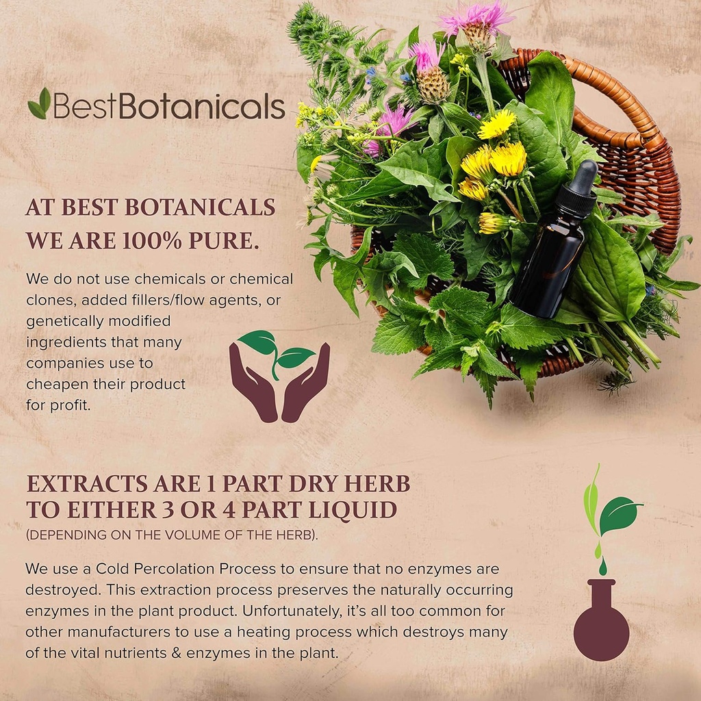 best-botanicals-lobelia-herb-cut-4-oz-5.jpg