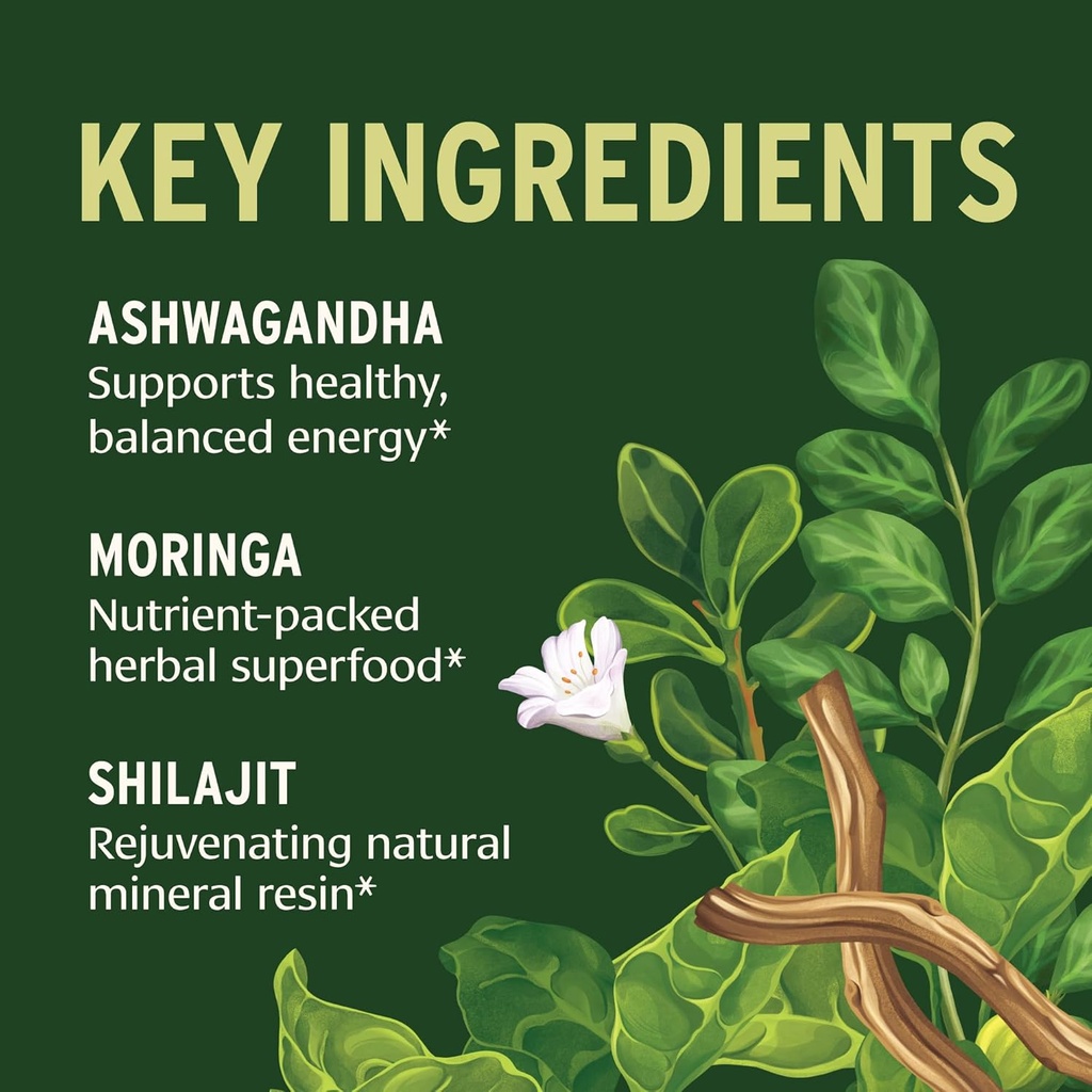 banyan-botanicals-everyday-endurance-org-3.jpg