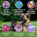 arava-natural-tear-and-stain-remover-for-4.jpg