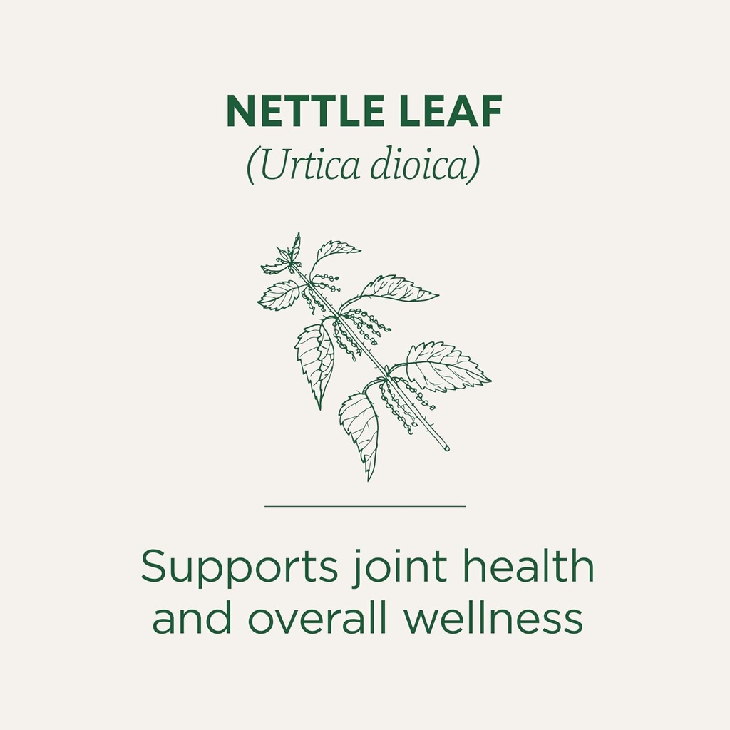 traditional-medicinals-organic-nettle-le-3.jpg