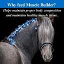su-per-muscle-builder-horse-supplement---4.jpg
