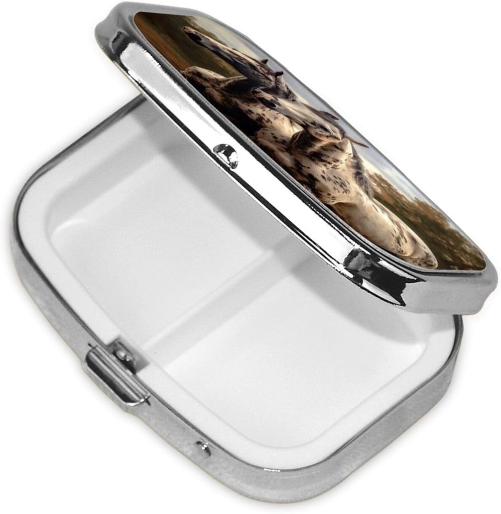 pill-case-pill-box-with-mirror-small-pil-6.jpg