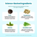 voomvaya-teatox-booster-senna-tea---14-d-5.jpg
