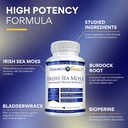 research-verified-irish-sea-moss---bladd-2.jpg