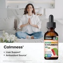bio-krauter-schisandra-tincture-2-fl-oz--2.jpg