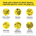 bach-rescue-sleep-dropper-natural-sleep--5.jpg