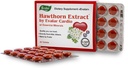 hawthorn-by-evalar-cardio-40-tabs-3.jpg