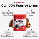 nutridom-canadian-chaga-mushroom-tea-gri-6.jpg