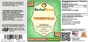 tormentilla-potentilla-erecta-glycerite--2.jpg