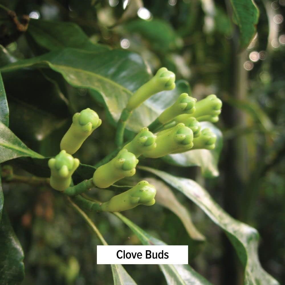 banyan-botanicals-avipattikar-powder-org-2.jpg