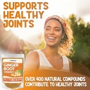 xprs-nutra-ginger-powder---premium-groun-2.jpg