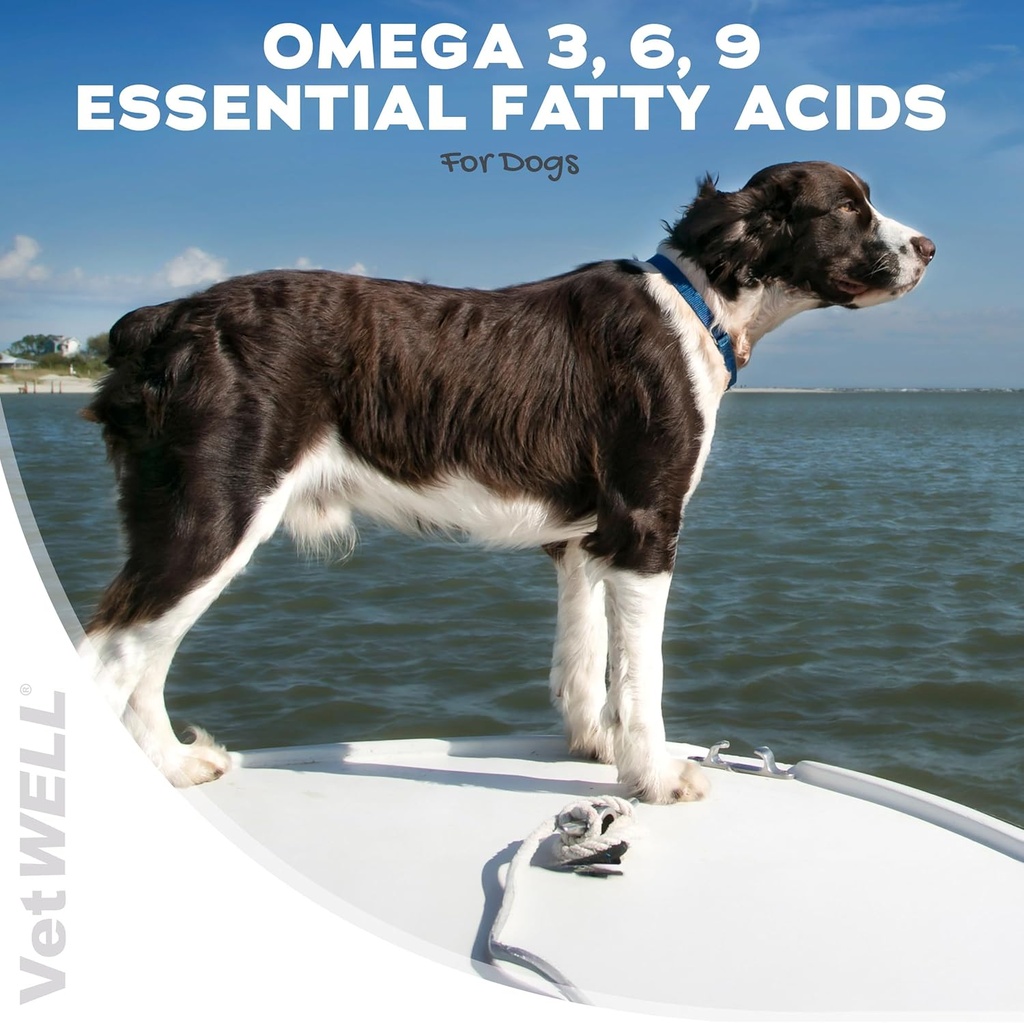 vetwell-omega-3-supplement-for-dogs-with-2.jpg