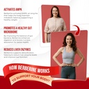 8-in-1-berberine-supplement---per-capsul-3.jpg