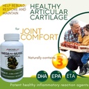 bricker-labs-joint-comfort-and-sugar-bal-4.jpg