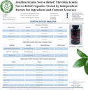 zenmen-garlic-tincture-and-sciatic-nerve-4.jpg