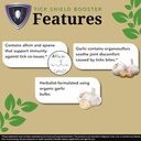 zenmen-garlic-tincture-and-sciatic-nerve-6.jpg