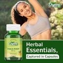 organic-zing-maca-root-black-red-yellow--6.jpg