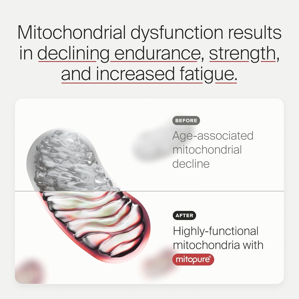 timeline-mitopure-urolithin-a-supplement-3.jpg