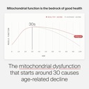 timeline-mitopure-urolithin-a-supplement-4.jpg