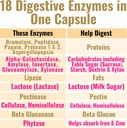 ibs-postbiotics-digestive-enzyme-s-w-lac-4.jpg