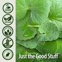 natures-answer-gotu-kola-dietary-supplem-5.jpg