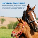 healthygut-foal-kit-for-horses-dietary-s-5.jpg