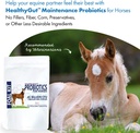 healthygut-foal-kit-for-horses-dietary-s-6.jpg