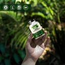amazing-botanicals-green-coffee-bean-ext-6.jpg