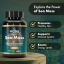 organic-irish-sea-moss-capsules---advanc-4.jpg