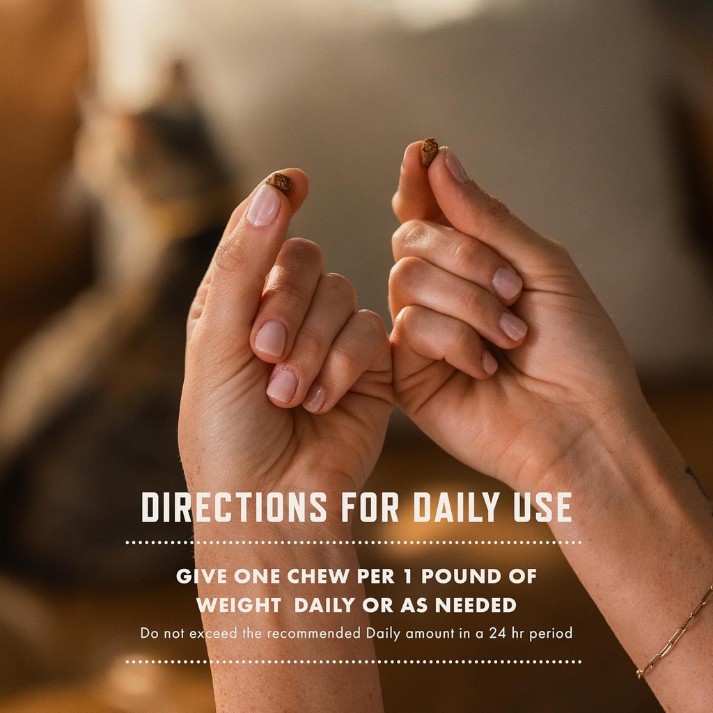 rocco-roxie-cat-allergy-supplements-stai-6.jpg