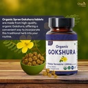 gokshura-120-tablets-tribulus-terrestris-3.jpg