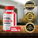 2-pack-vital-grow-xl-gummies-vital-grow--2.jpg