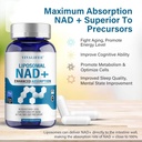 liposomal-nad-supplement-750-mg-4.jpg