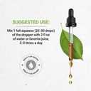secrets-of-the-tribe-horse-chestnut-alco-3.jpg