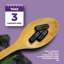 activated-charcoal-pills-detox-cleanse---5.jpg