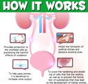 dog-uti-treatment---urinary-tract-infect-4.jpg