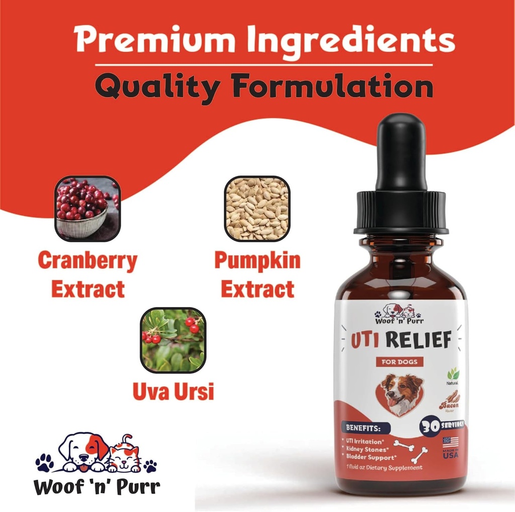 natural-dog-uti-treatment---dog-uti---do-5.jpg