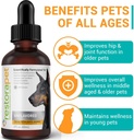restorapet-4-pack-dog-cat-unflavored-liq-2.jpg