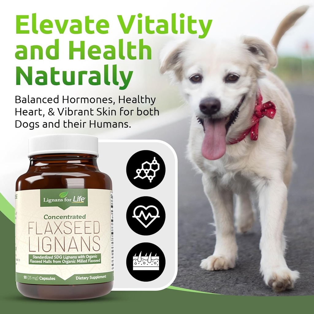 lignans-for-life-flaxseed-and-sdg---omeg-3.jpg