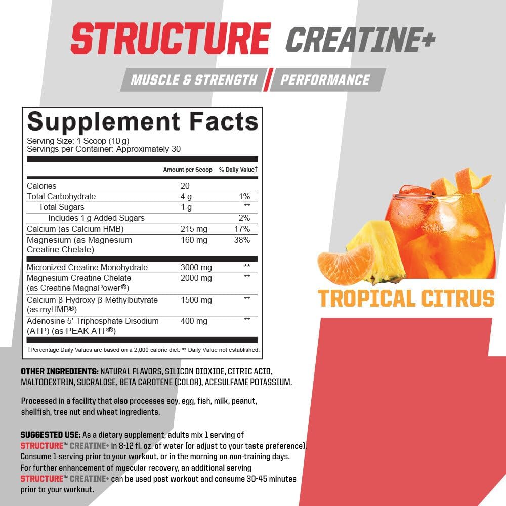 undefined-nutrition-structure-creatine-b-2.jpg